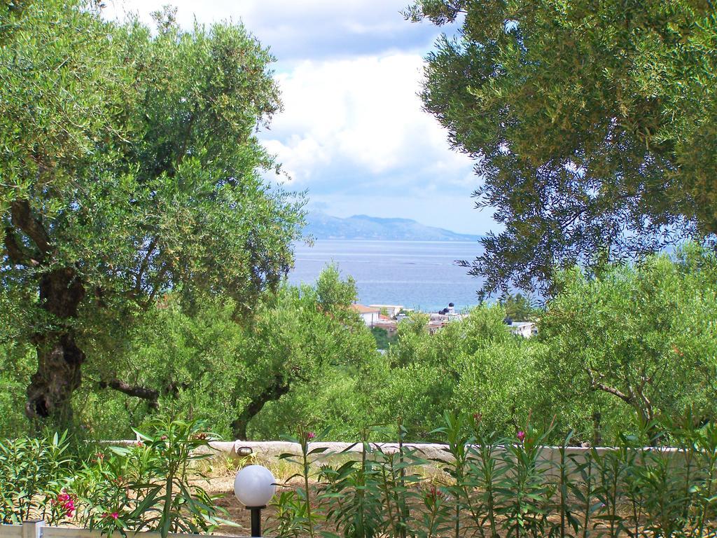 Pouliezos Koklanis Zante Apartments Alykes  Extérieur photo